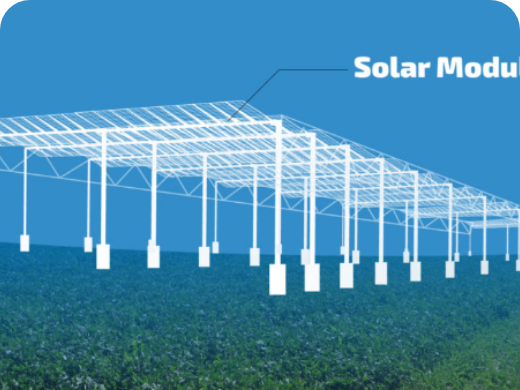 Solar module in agriculture secor