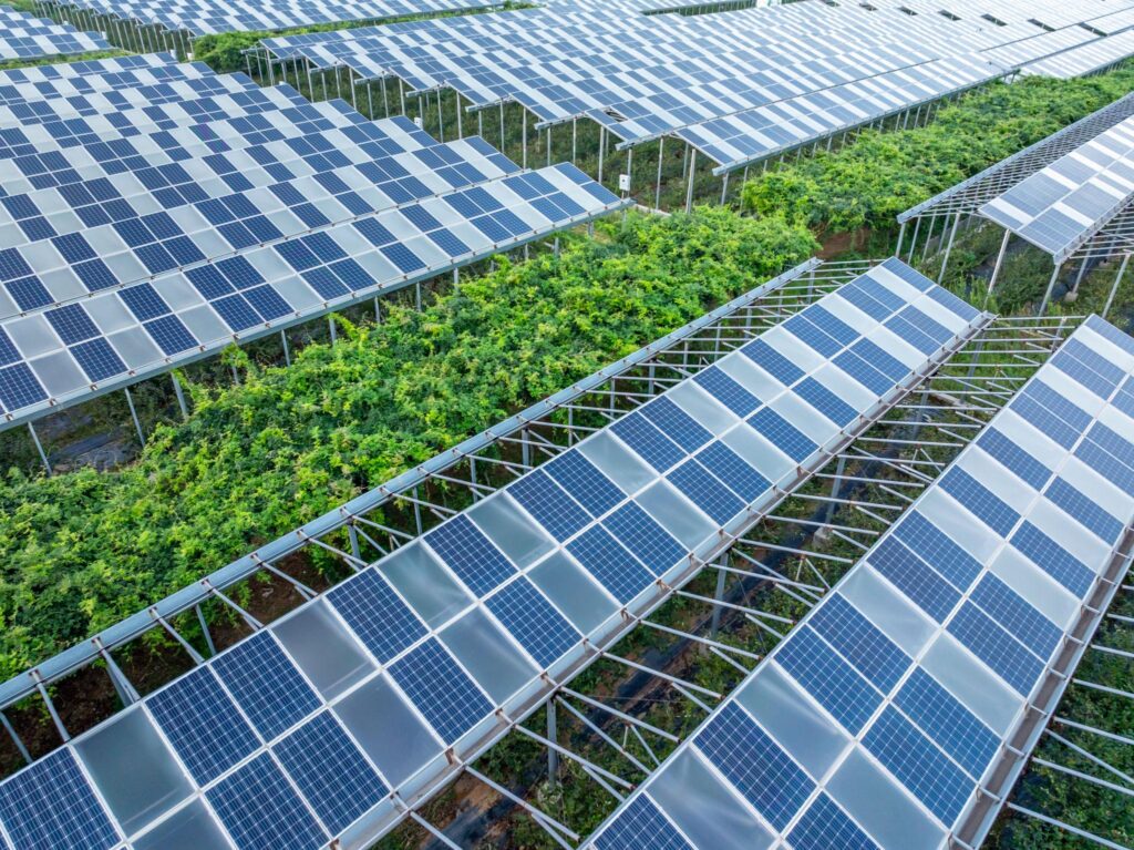 Agrivoltaic solar system with elevated panels allowing crop cultivation underneath and balanced sunlight distribution