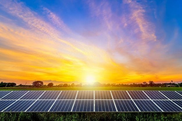 Solar panels installed in an open field with a bright sunrise and blue sky, producing renewable energy.