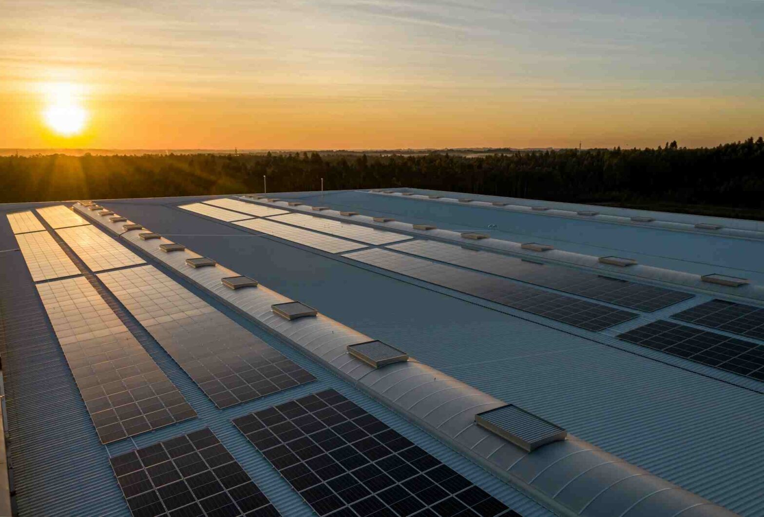 The Complete Guide to Understanding C&I Rooftop Solar System Installation Cost and ROI