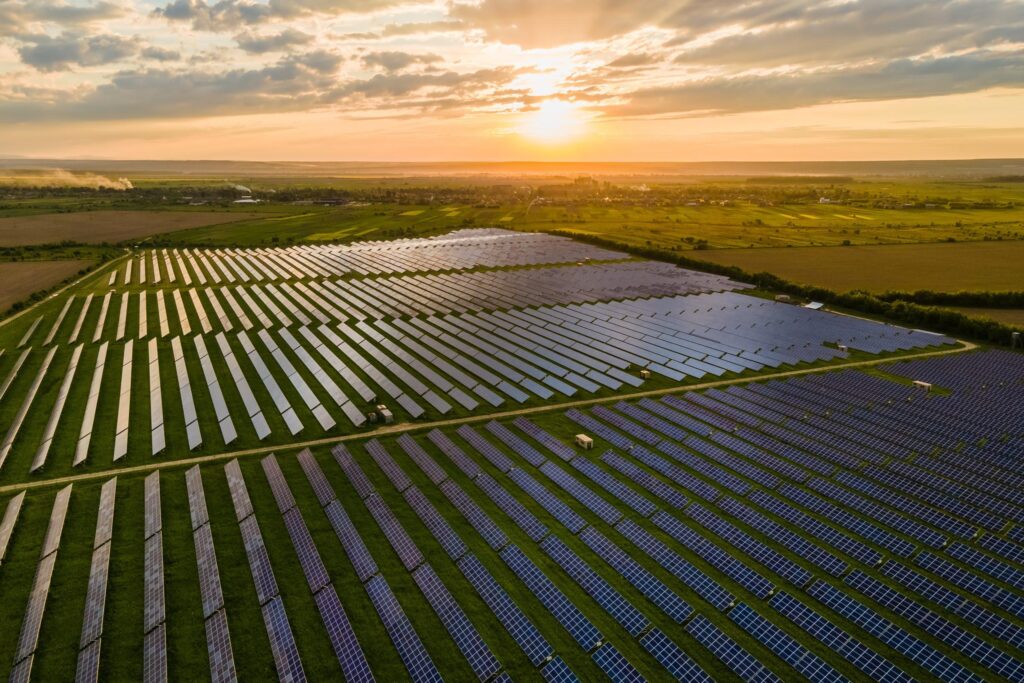 Sterling and Wilson solar EPC projects showcasing large-scale utility solar power plants and global installations