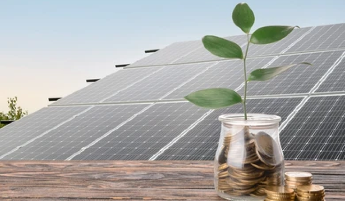 Solar panels in the background with plant growing from coins showing solar cost savings